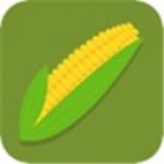 玉米竞娱v1.0