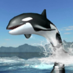 鲸鱼生存模拟器v1.0
