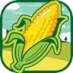 丰收的玉米v1.3