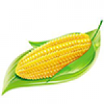 玉米连连看v1.0
