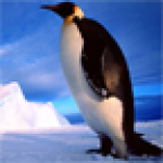 企鹅拼图游戏v2.9.11