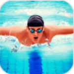 真实游泳模拟器v1.2.4