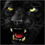 凶猛的黑豹v1.3