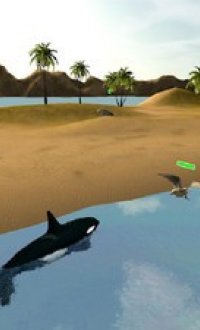 鲸鱼生存模拟器v1.0