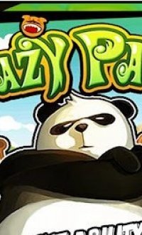 疯狂的熊猫V1.0.5