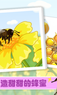 甜美蜜蜂v1.1
