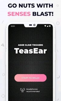 TeasEarv1.2.1