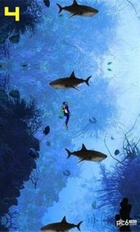 鲨鱼世界生存逃脱v1.0